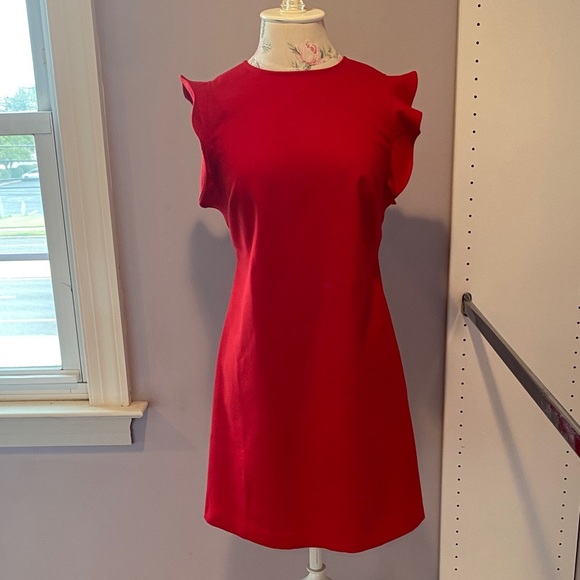 Vineyard Vines Dresses & Skirts - Vineyard Vines Scarlet Ruffle Mini Dress